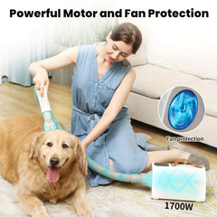 1set Dog Hair Dryer, High Power Blow Dryer For Dogs, Pet Grooming Dryer For Home Pet Salon Pet shedding brush Cat brush Grooming