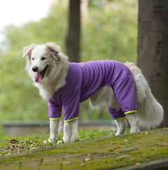 Big Large Dog Jumpsuit, Dog Clothes, Schnauzer, Corgi, Husky, Labrador, Golden Retriever, Dobermann, Bull Terrier, Summer Outfit